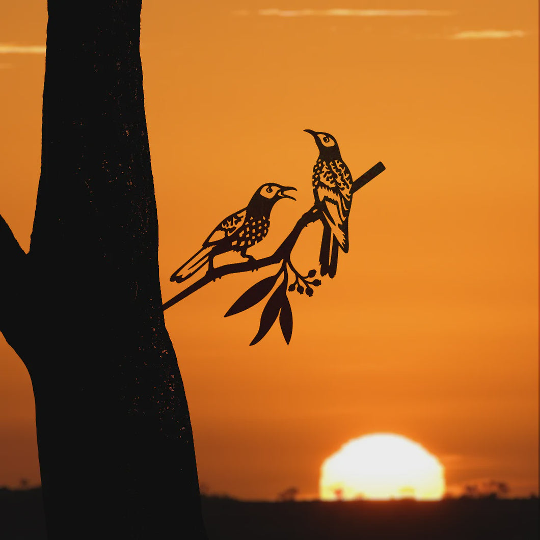 Metalbird Honeyeater